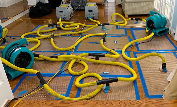 Professional Structural Drying And Dehumidification technician working in Palouse, WA